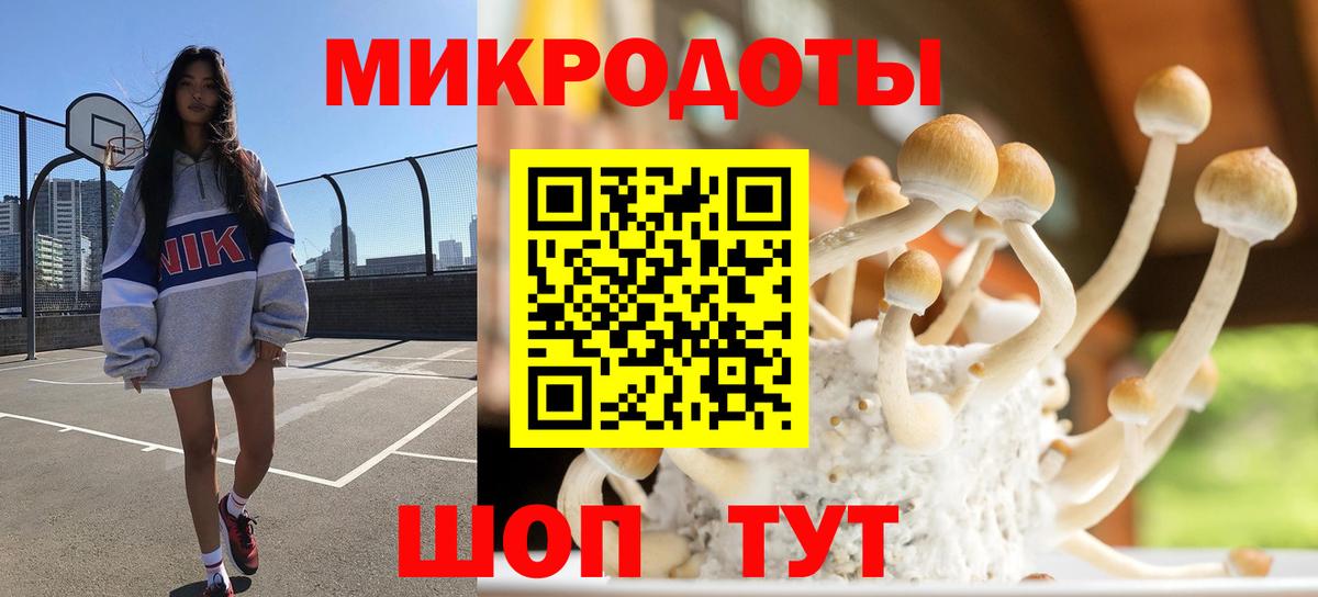 Псилоцибиновые грибы прущие грибы  Вход с VPN  закладка  Иркутск 